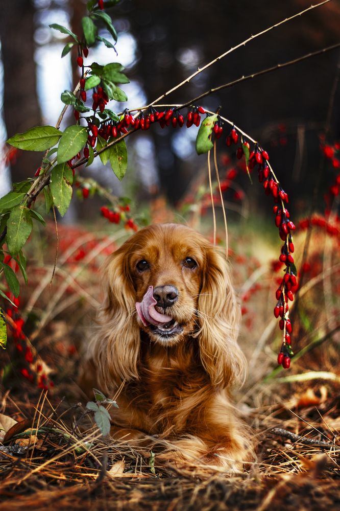 Photograph by Victoria Mogulyan