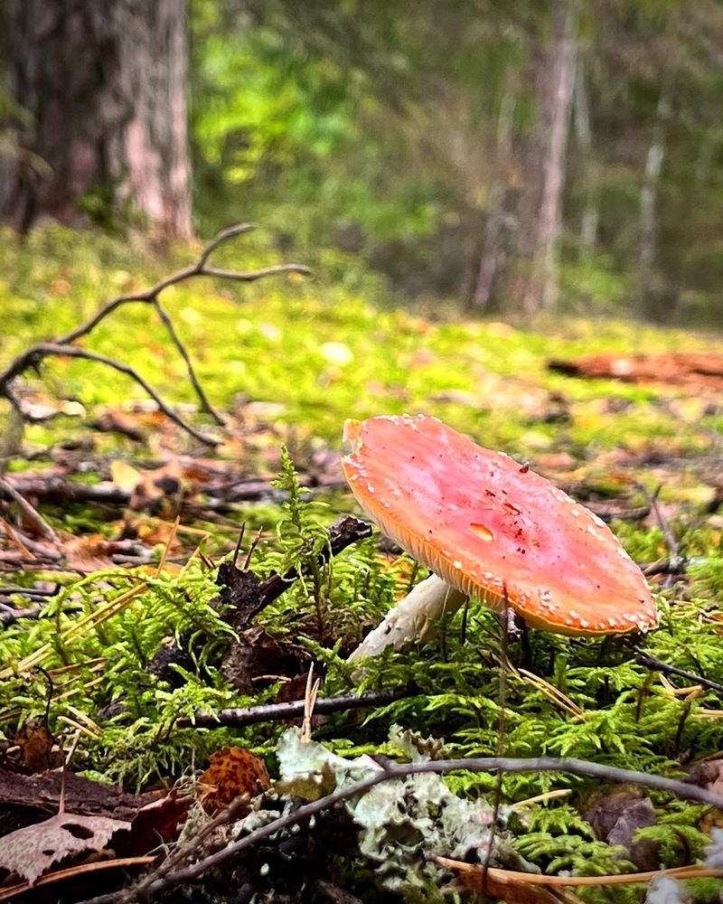 Фотография автора Алексан Арт