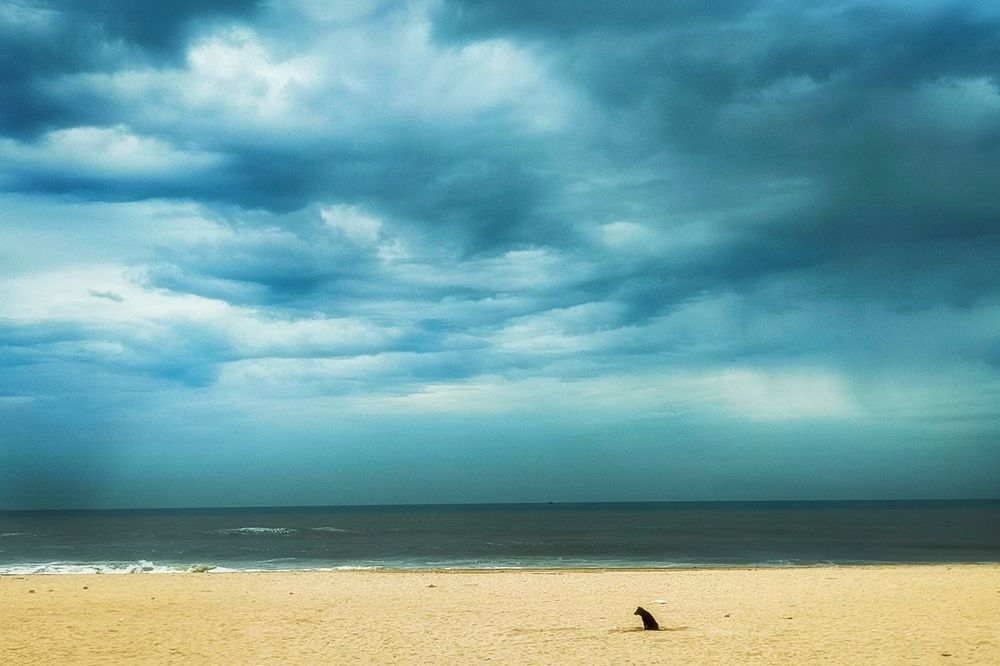 Photograph by John britto