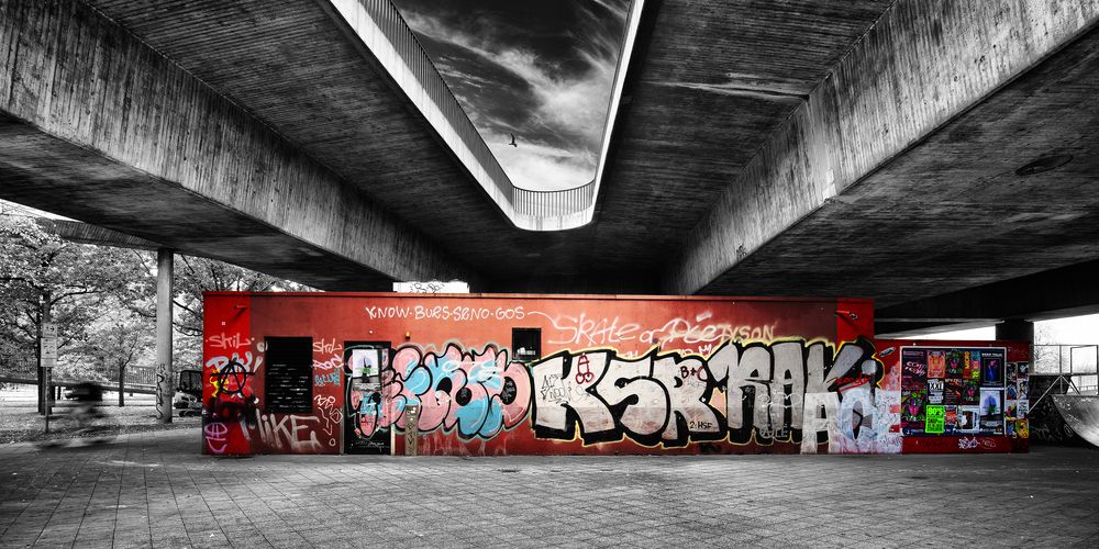 Фотография автора Василий Рябовол