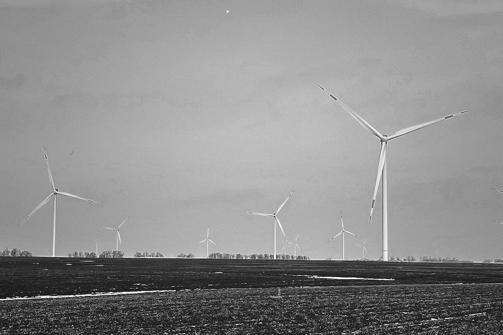 Photograph by Nadya Sterligova