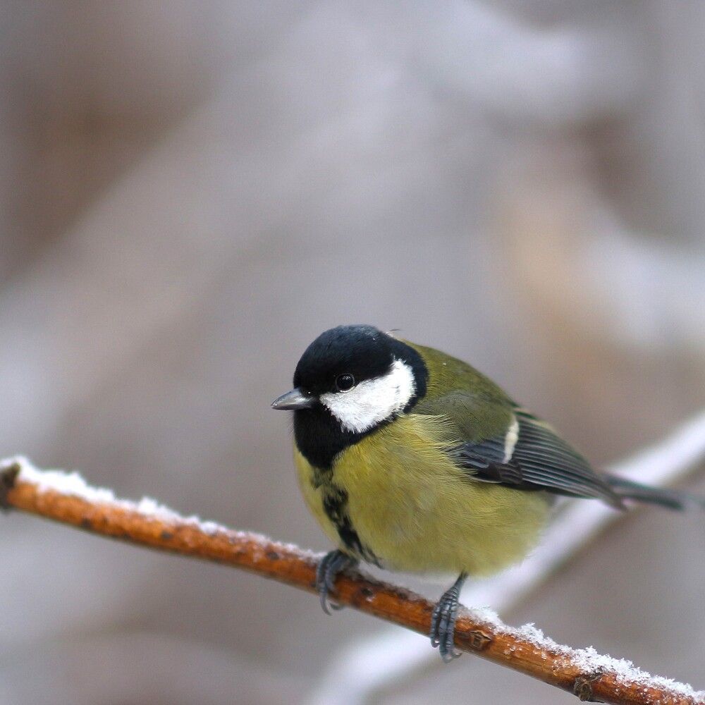 Photograph by Затямин Александр