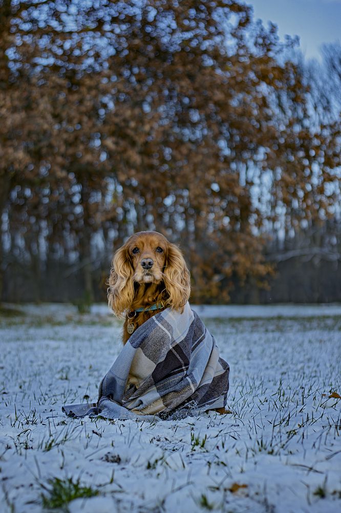 Photograph by Victoria Mogulyan