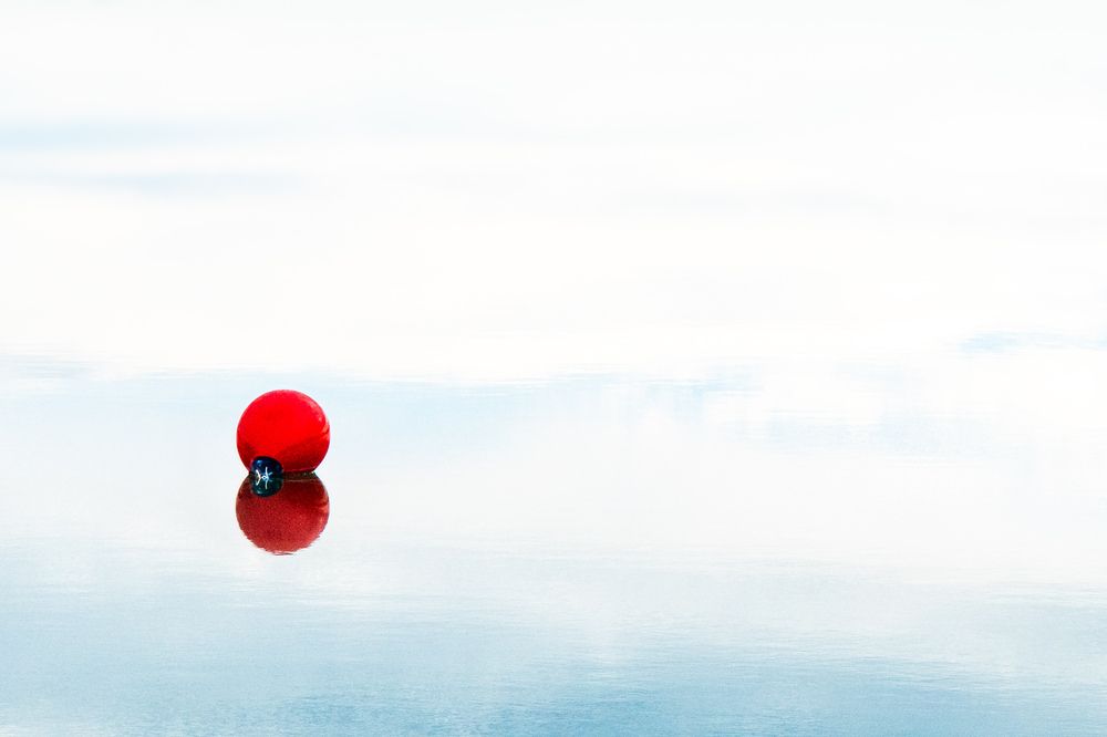 Фотография автора Emi D