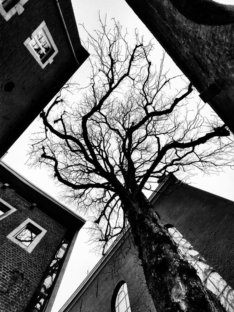 Фотография автора Василий Рябовол