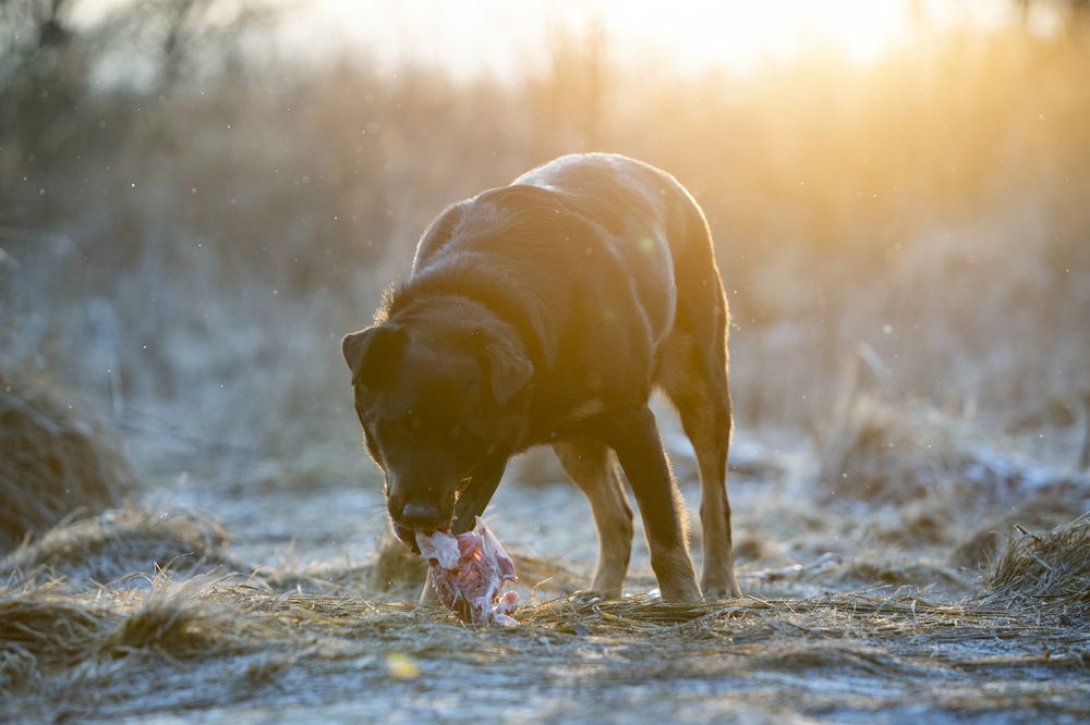 Photograph by Александр Бунин