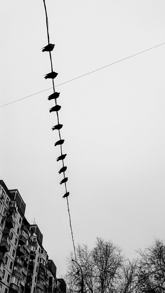 Фотография автора Дарина Фельдман