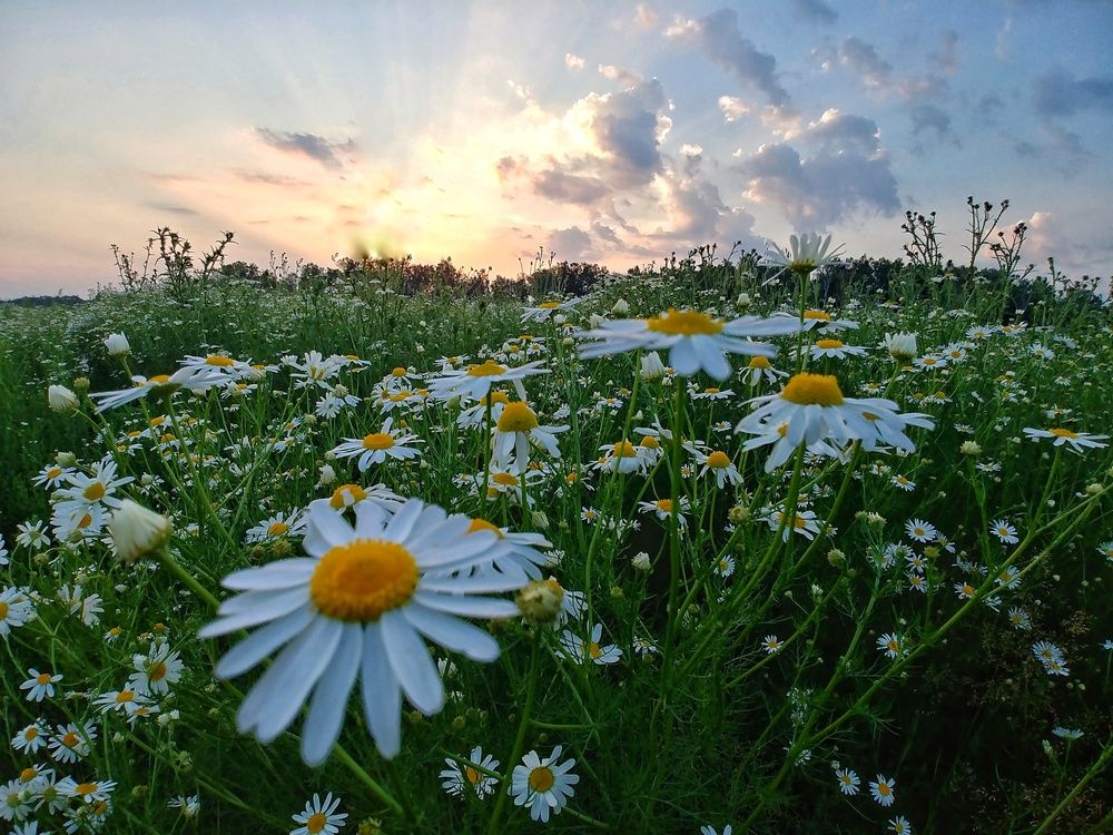 Photograph by Константин Степанов