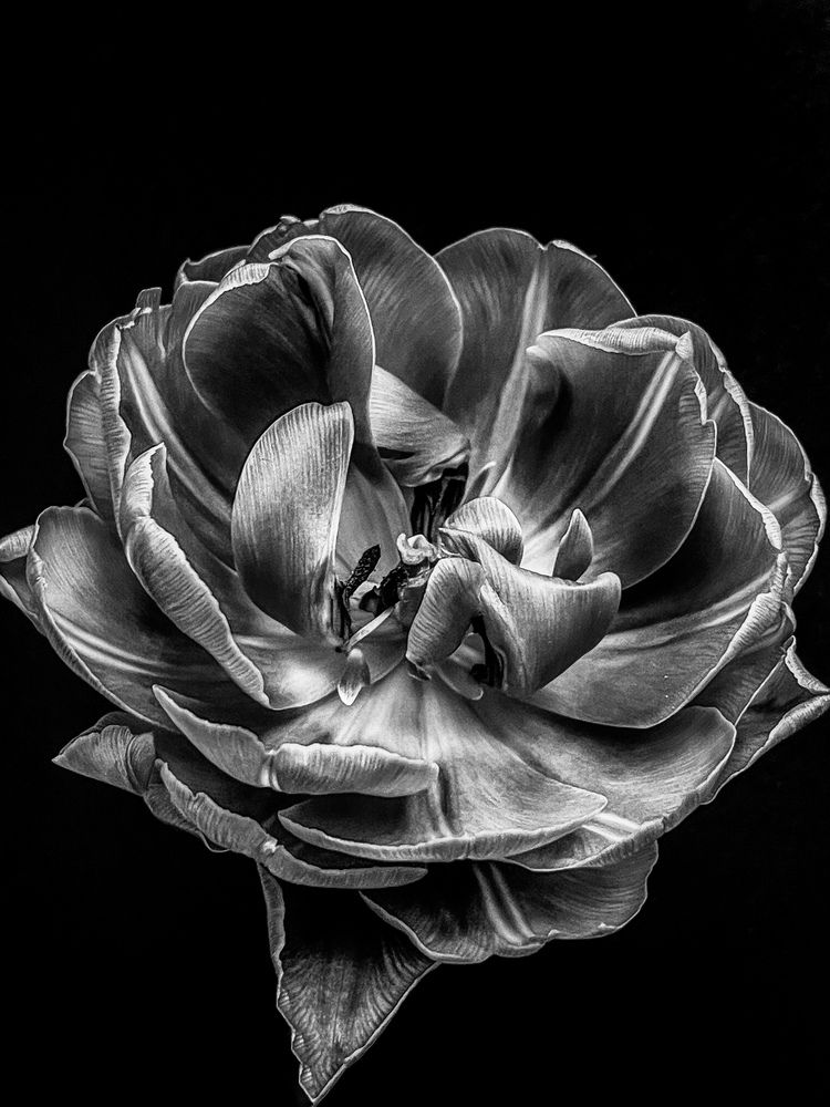 Photograph by Олена Уманцева