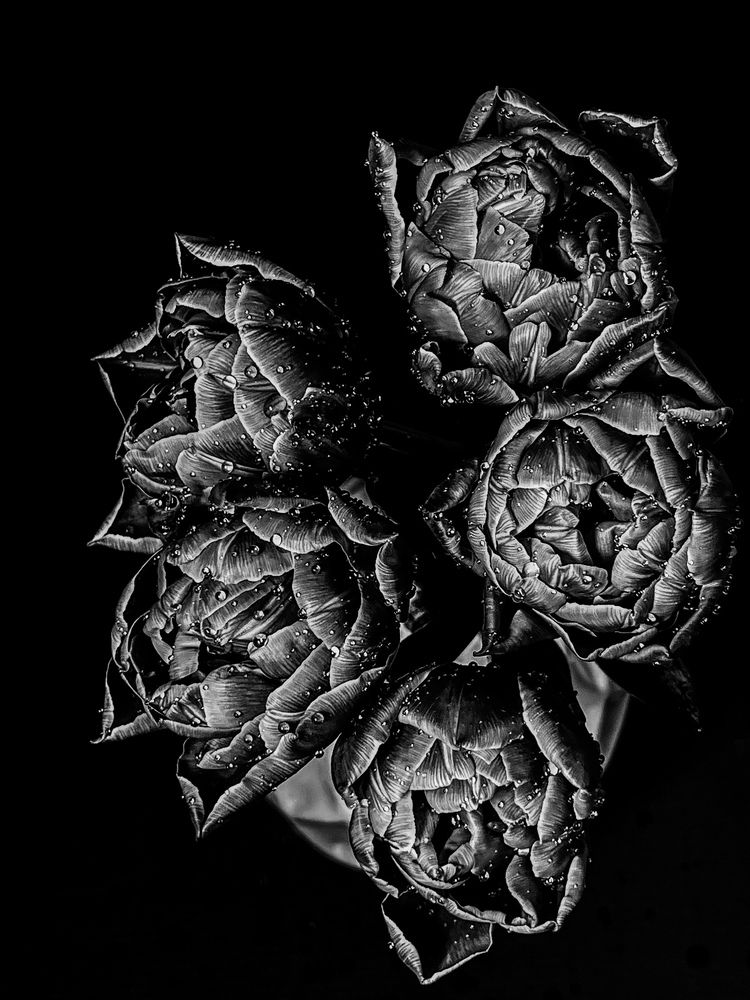 Photograph by Олена Уманцева