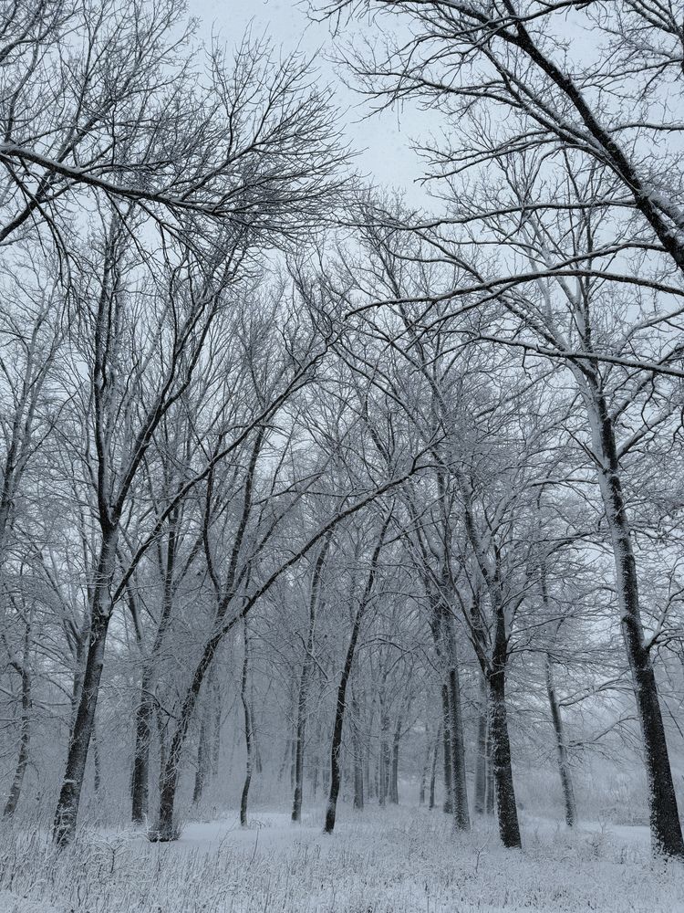 Photograph by Олена Уманцева