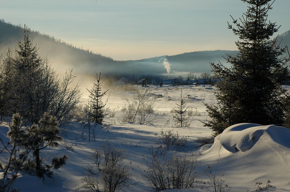 Полуторник