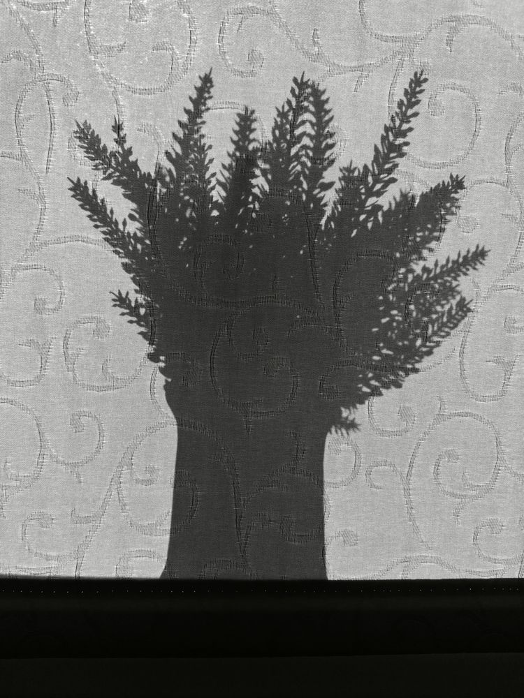 Photograph by Константин Степанов