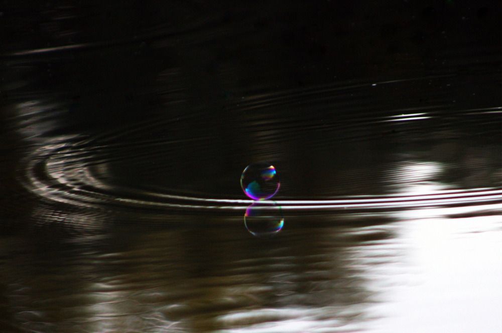 Photograph by Светлана Кравченко