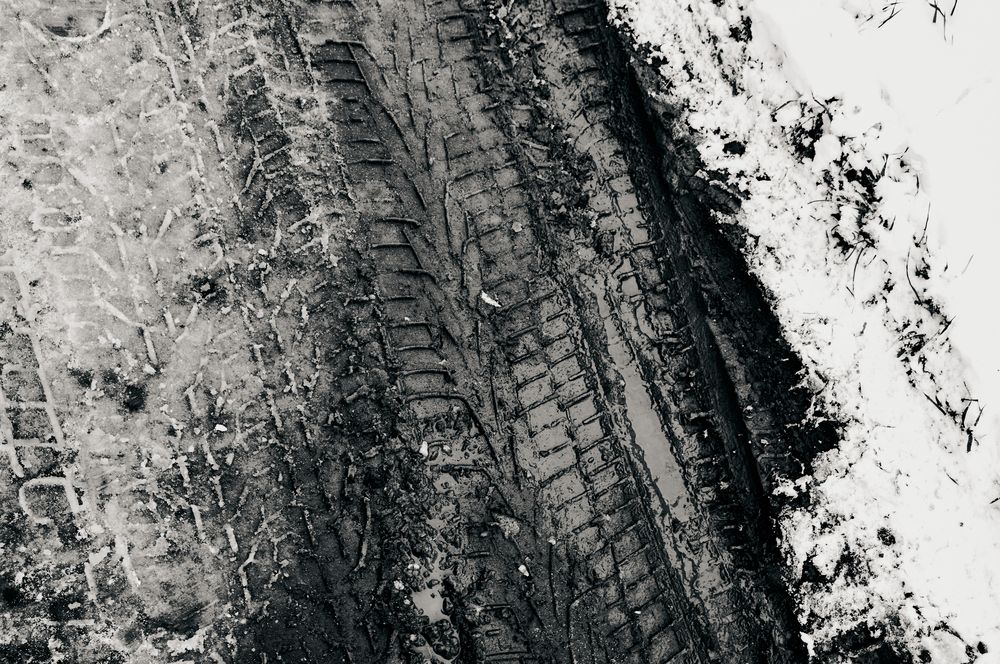 Photograph by Маргарита Яблокова