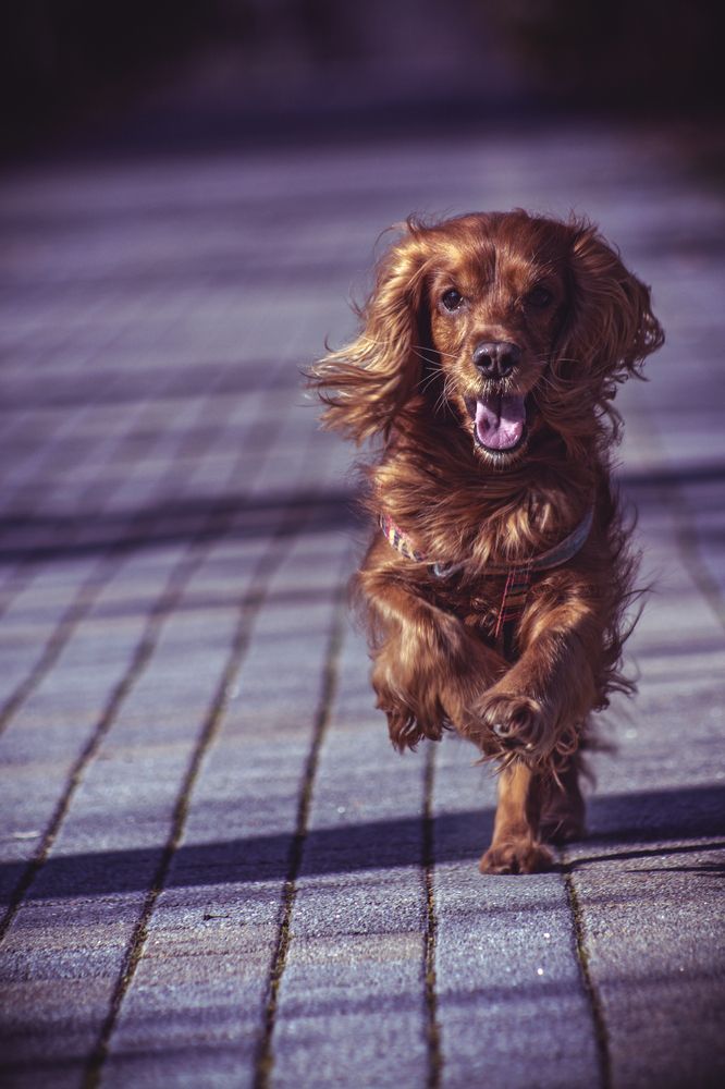 Photograph by Victoria Mogulyan