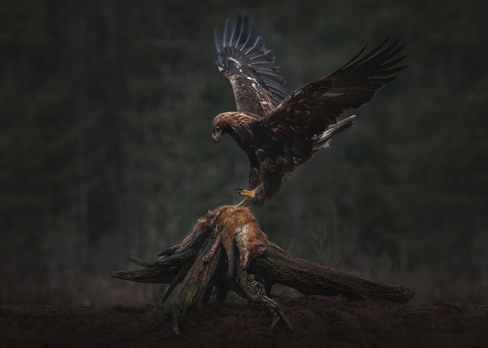 Фотография автора Рудченко Ольга