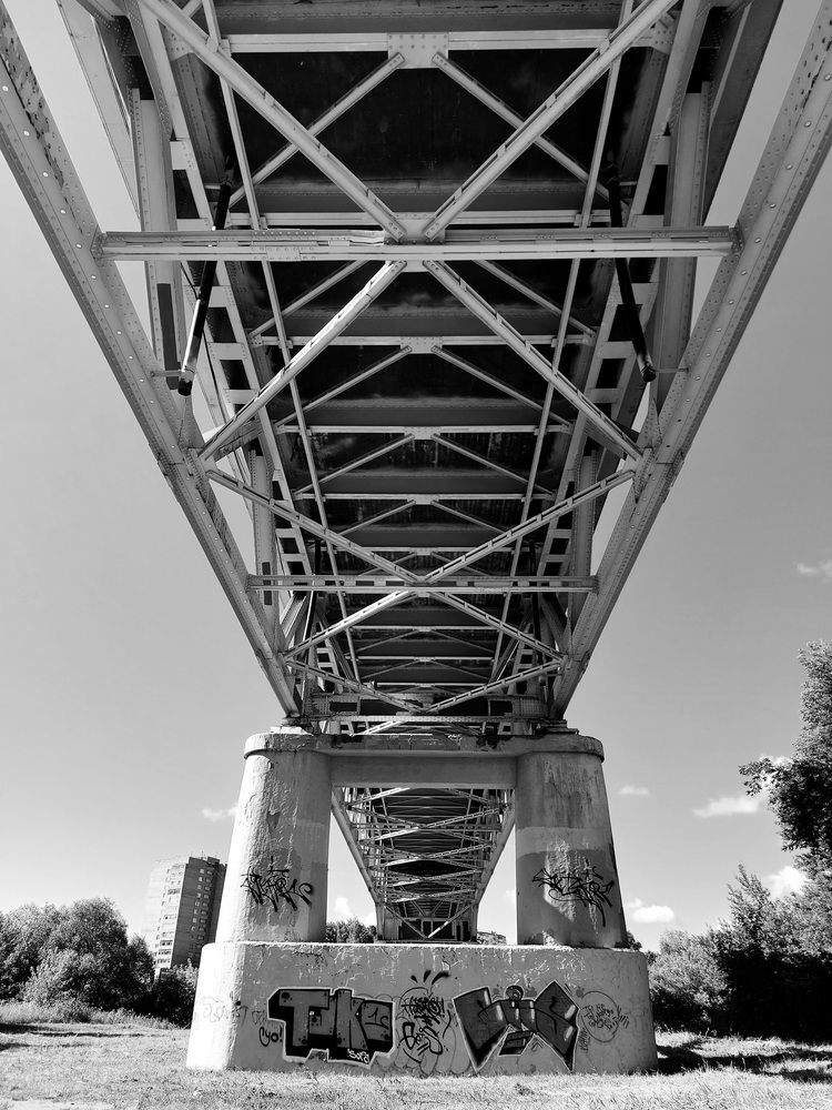 Фотография автора Колосова Елена