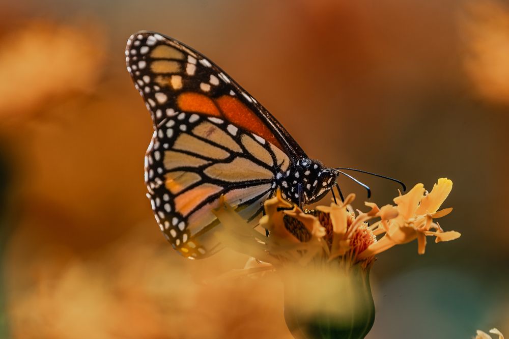 Photograph by Sandra Alvarez