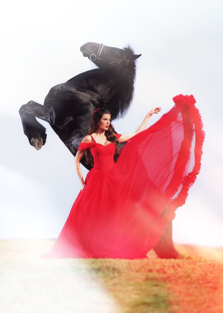 The Princess of Horses