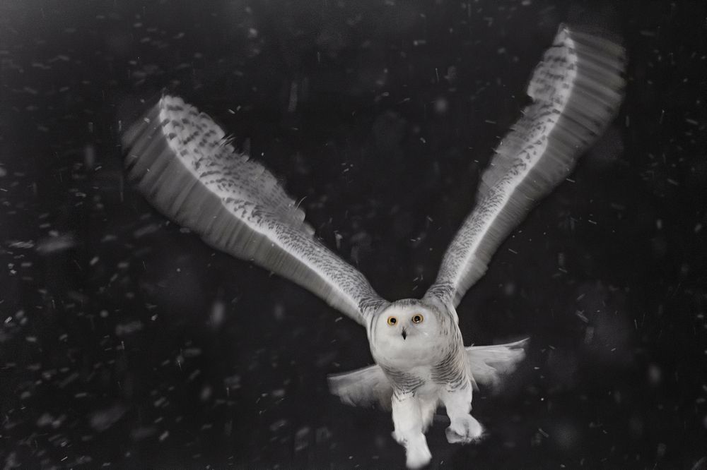 Photograph by Дарья