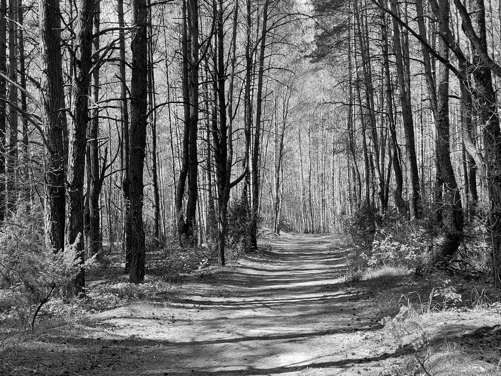 Фотография автора Колосова Елена