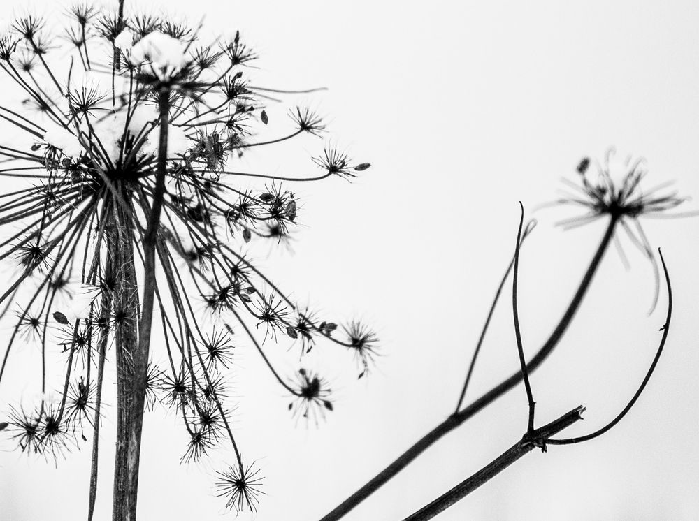 Photograph by Ирина Шевакова