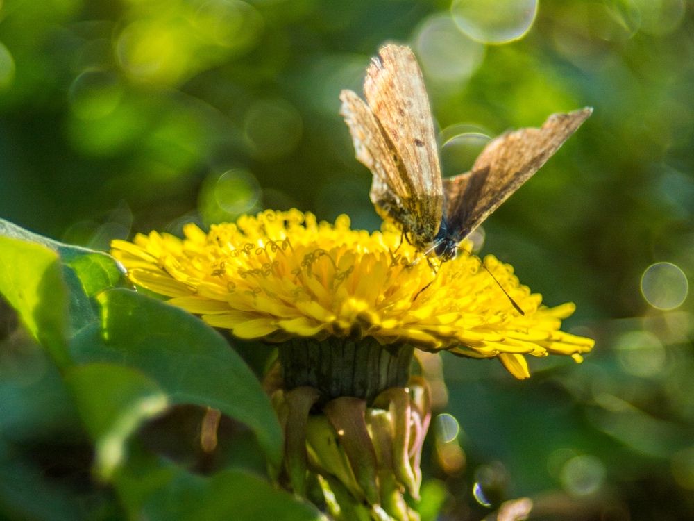 Photograph by Анастасия