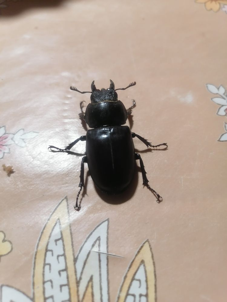 Фотография автора Виталий Дузь