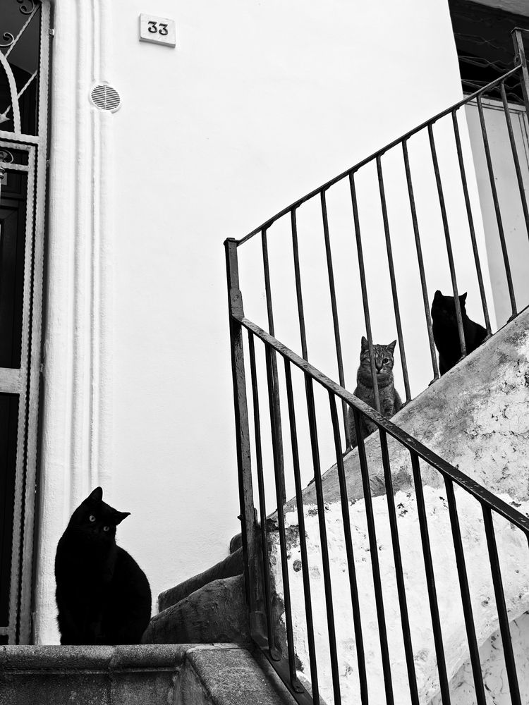 Photograph by fumarola pierdomenico