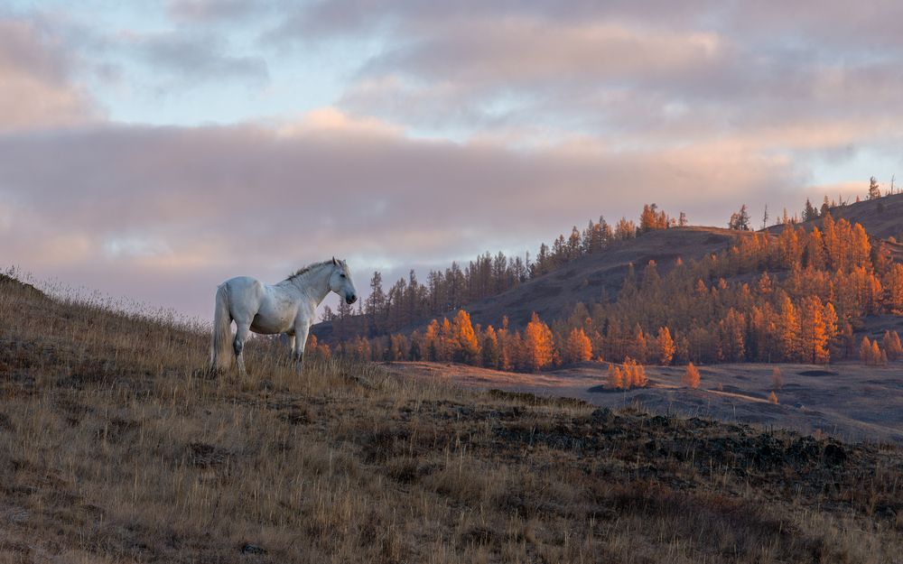 Photograph by Ирина Кудрина