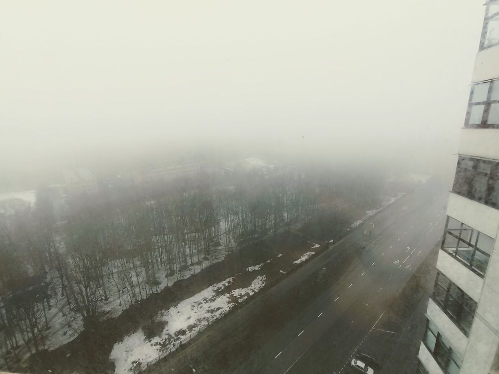 Фотография автора Людмила Куприянова