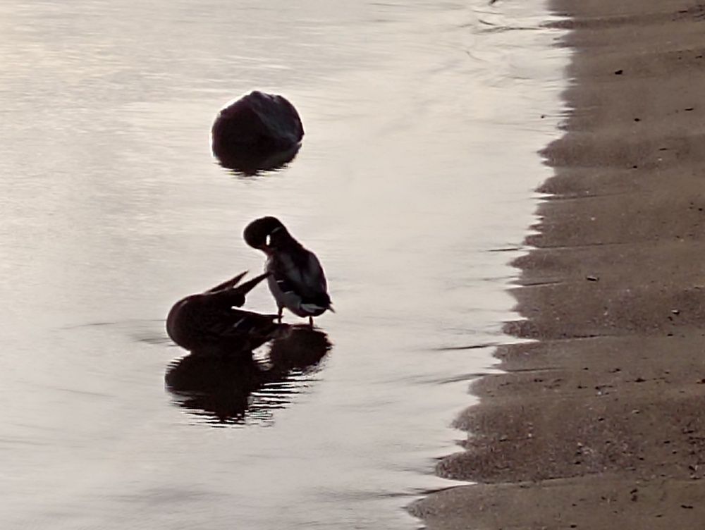 Фотография автора Людмила Куприянова