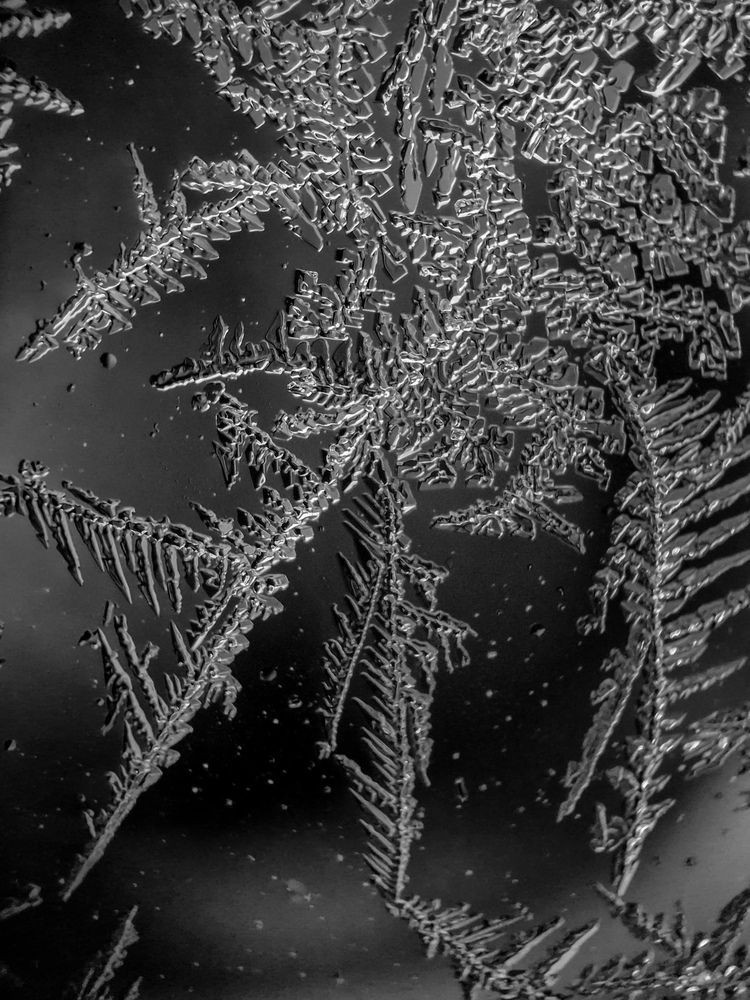 Photograph by Лариса Когтева