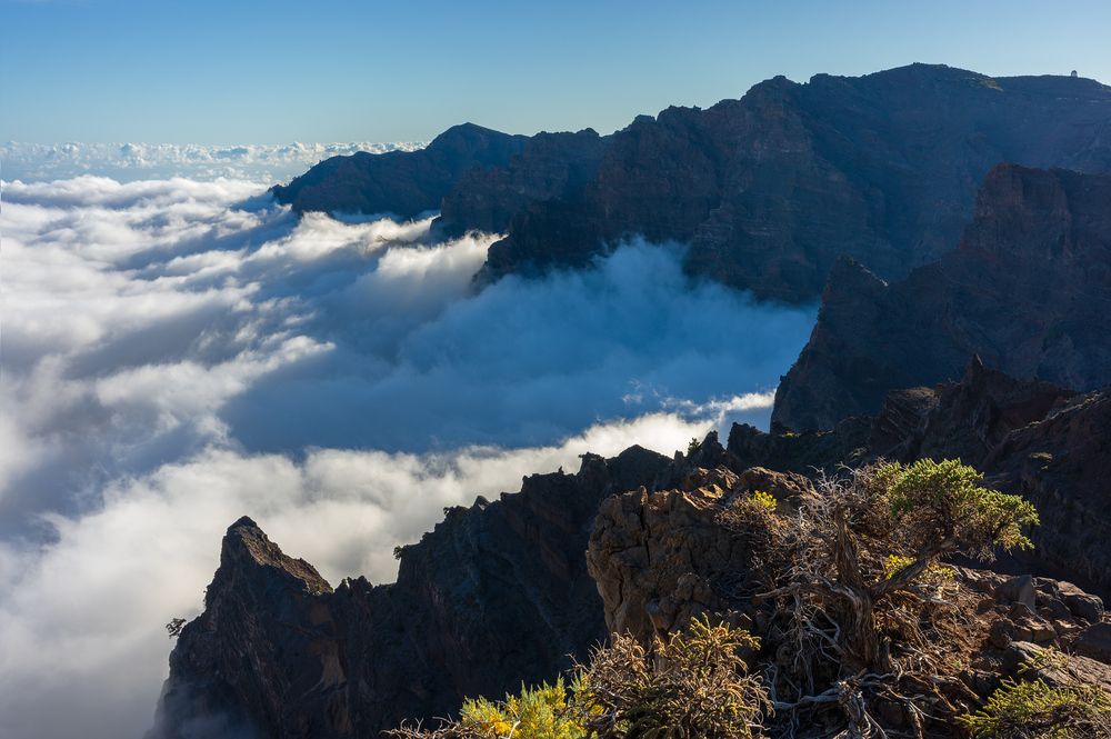 Photograph by Vasylius Vitalis