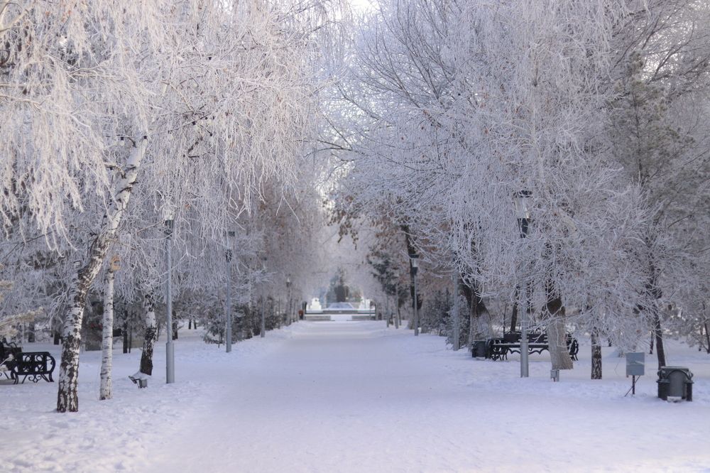 Photograph by Марина Савченко