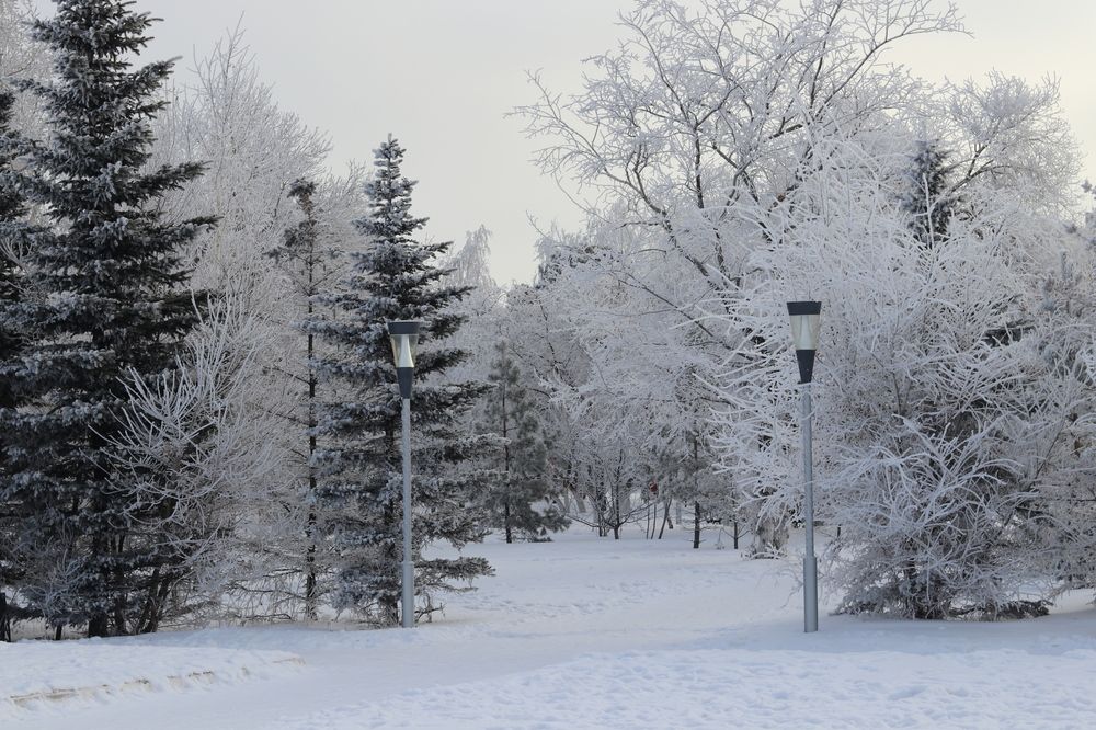 Photograph by Марина Савченко