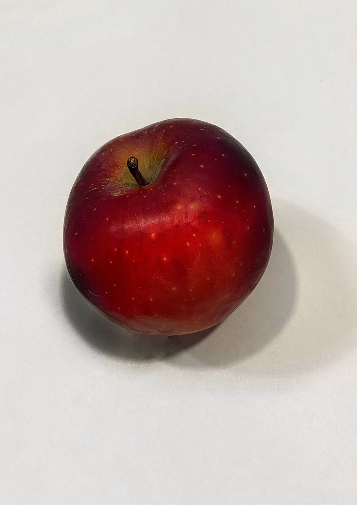 Photograph by Василина