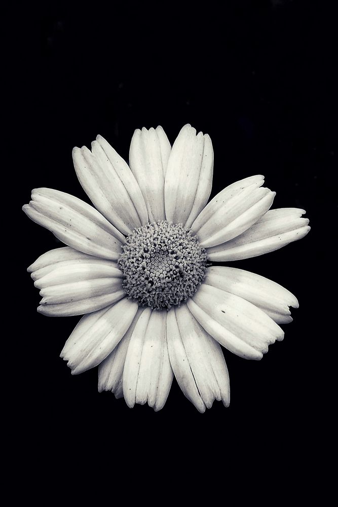 Photograph by DAVID ALMENDRAL