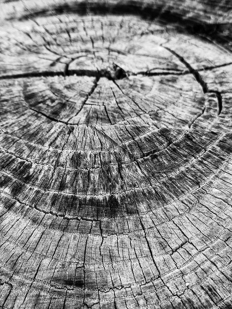 Photograph by DAVID ALMENDRAL