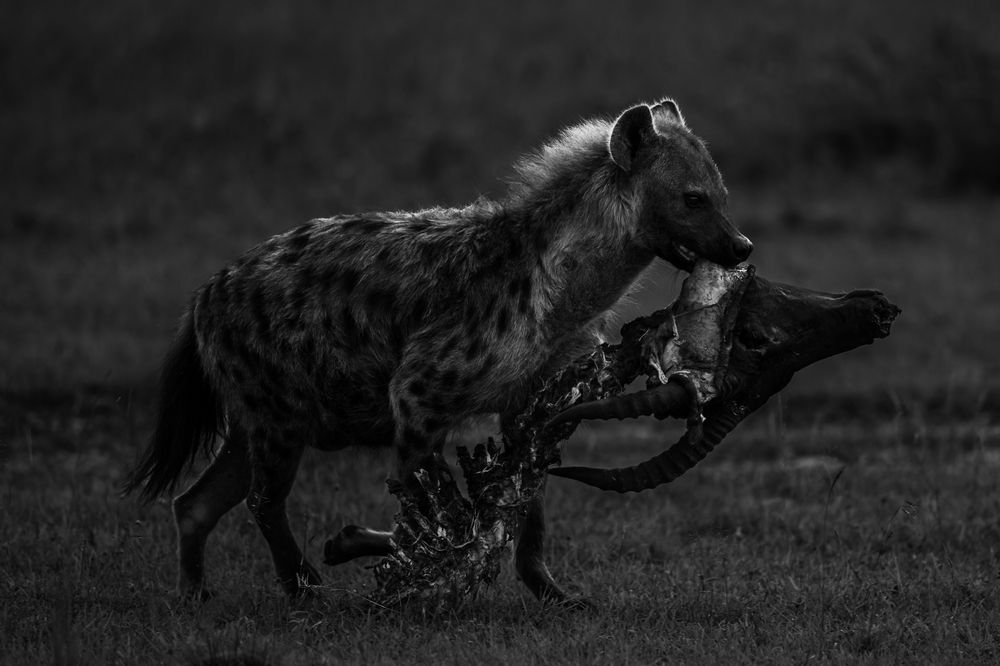 Photograph by Syed Ahmar Amjad