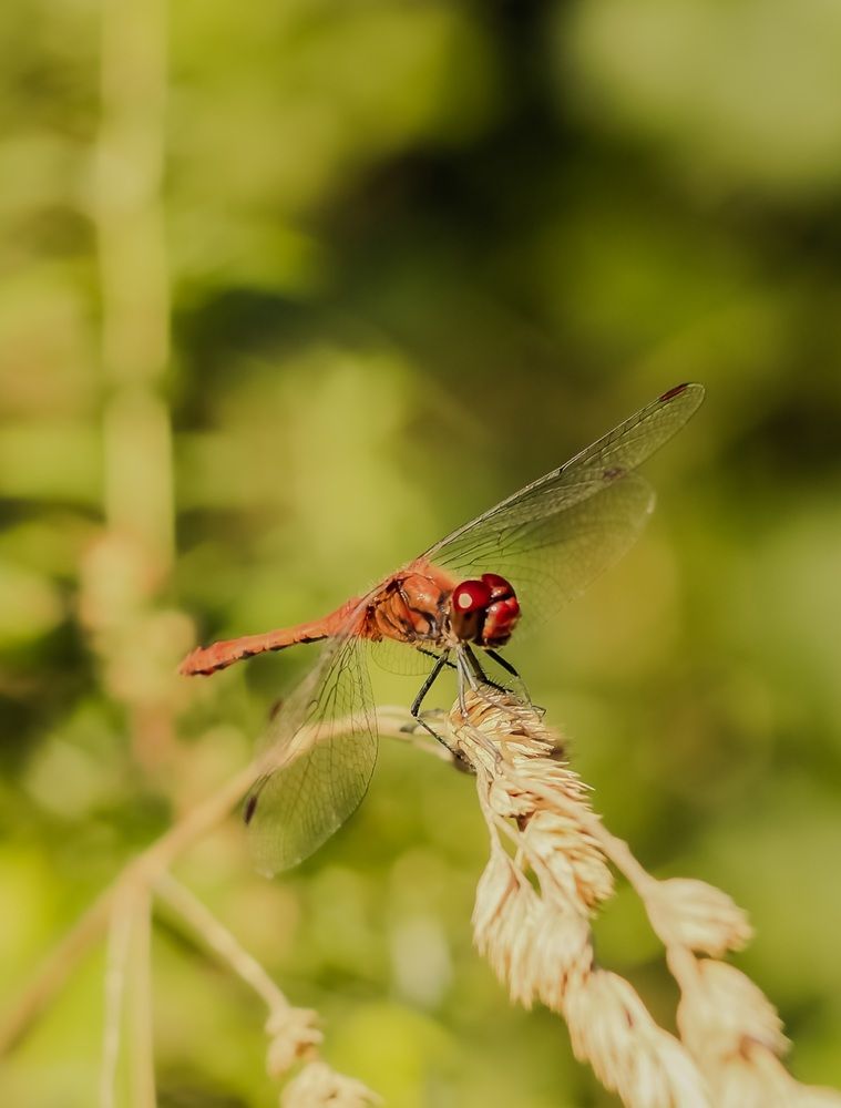 Photograph by Елена Квасова