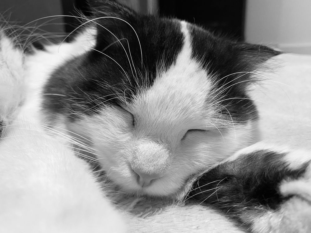 Photograph by Василина