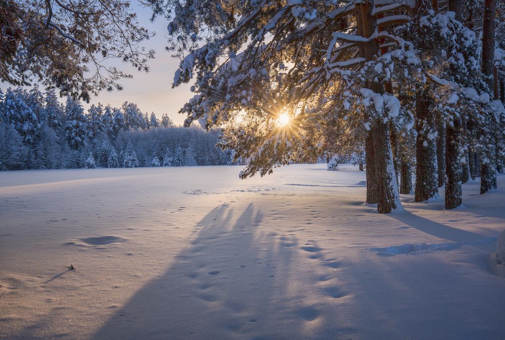 Фотография автора Евгений Кузнецов