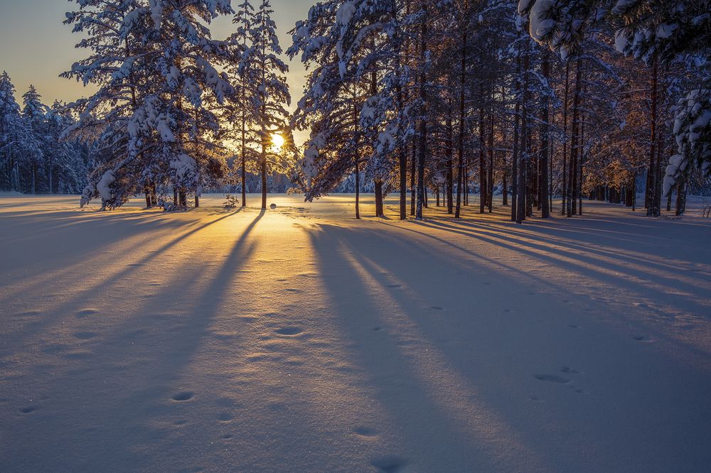 Фотография автора Евгений Кузнецов