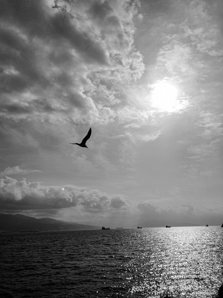 Photograph by Виктория Федосеенко