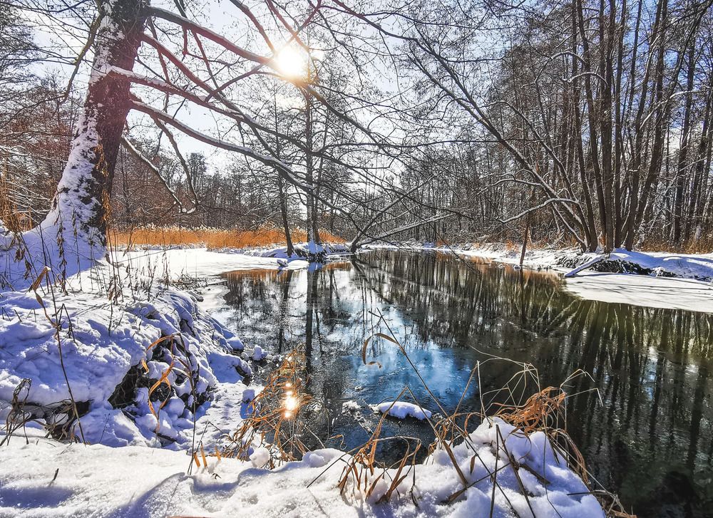 Photograph by Ольга Попченко