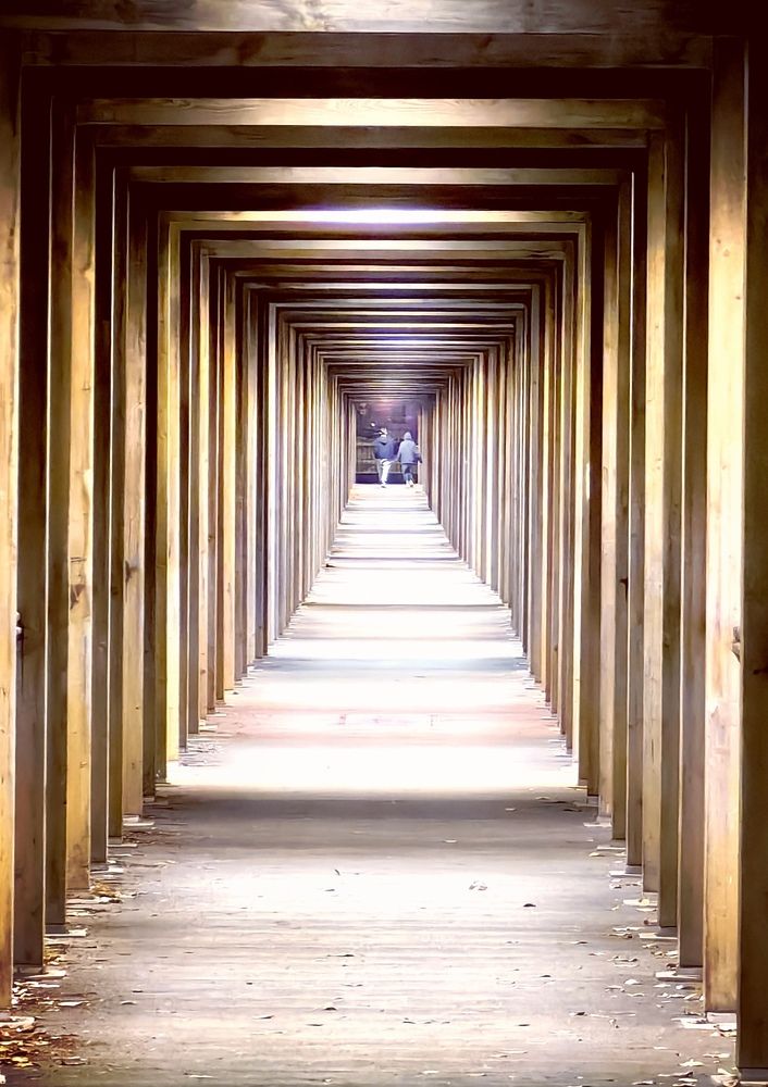 Photograph by Жучков Дмитрий