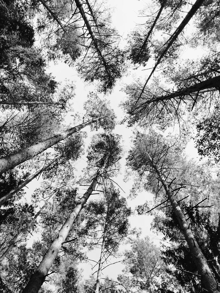 Фотография автора Наталья Драгун