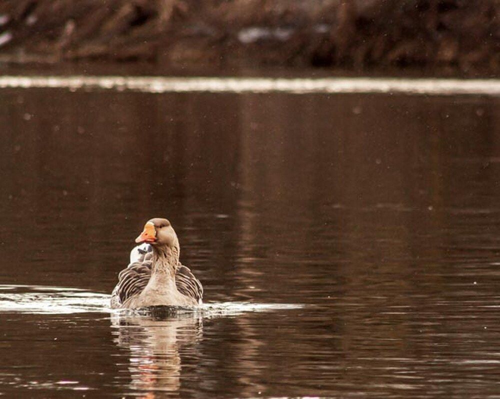 Фотография автора Виталий Дузь